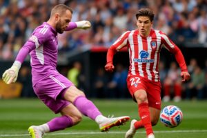 Atletico Madrid vs Botafogo