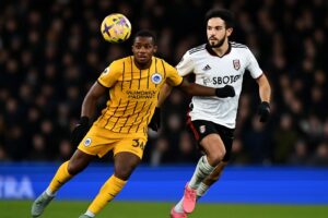 brighton vs fulham prediction