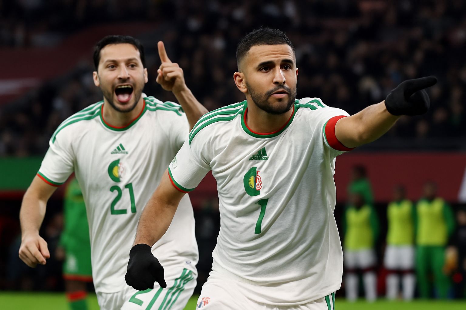 Equatorial Guinea vs Algeria prediction, odds & betting tips 31/12/2025